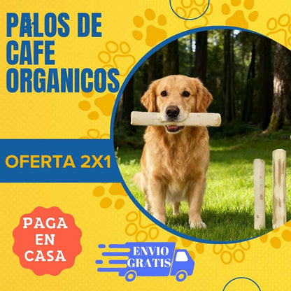 Oferta 2x1 Palos de Cafe para Mascotas "Juguete organico" 1 talla S y 1 talla M